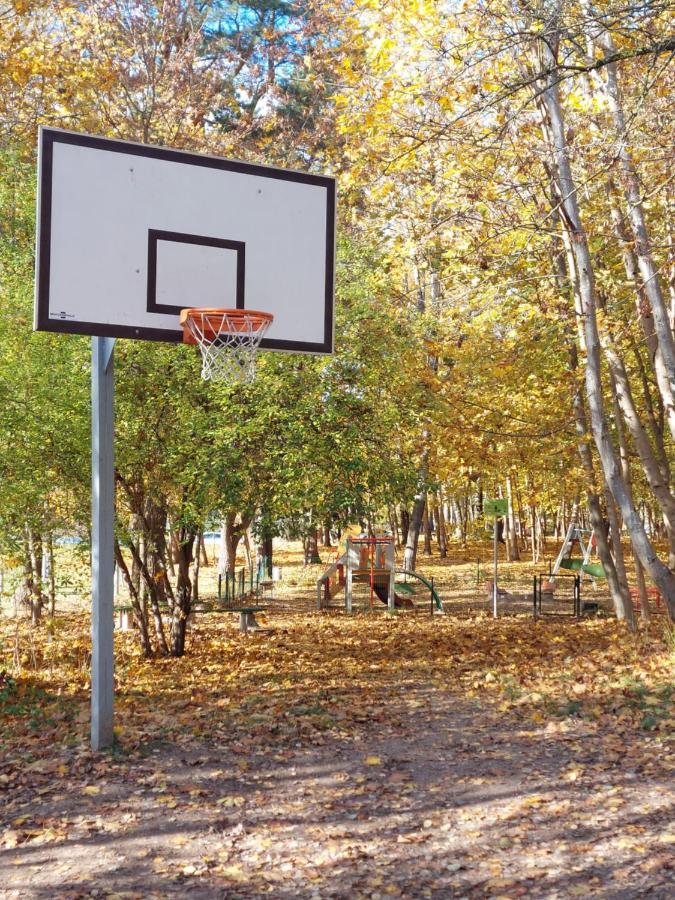 Family House Apartments ヴィリニュス エクステリア 写真